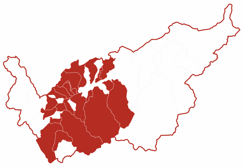 La Rose des Alpes fanfare Savièse